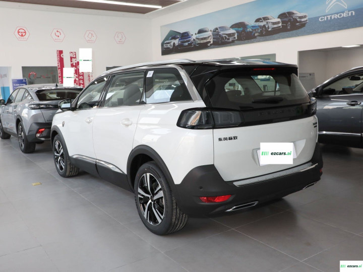 Peugeot 5008 Luxury photo 2