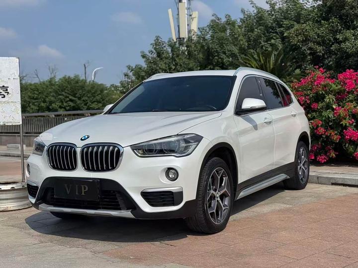 X1 2019 sDrive18Li Exclusive