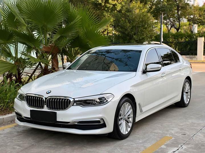 5 Series 2020 530Li Leading Luxury