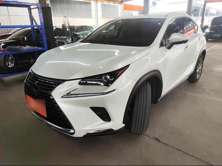 NX 2020 300 China VI