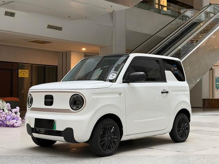 Panda 2023 Panda mini 200km Endurance Bear