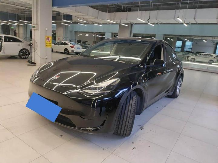 Model Y 2021 Standard Range RWD