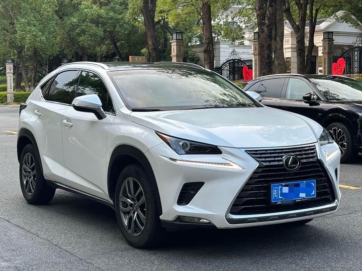NX 2018 300
