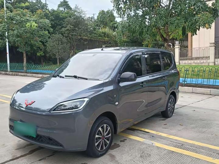 Hongguang EV 2024 EV 300KM Standard