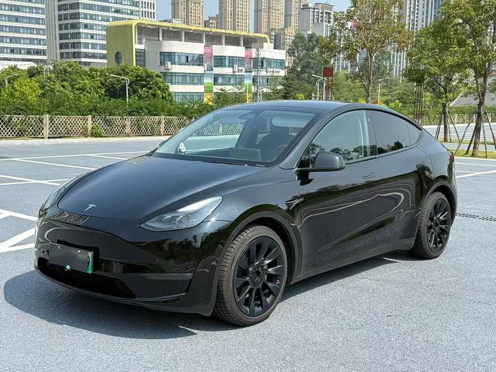 Model Y 2021 Standard Range RWD