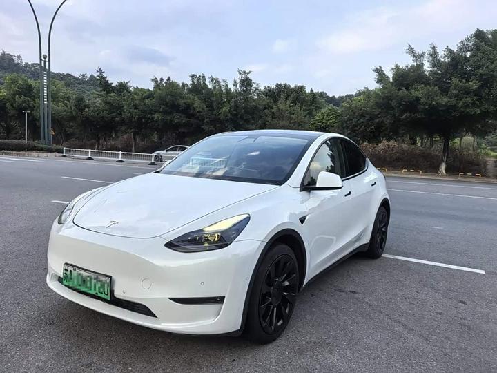 Model Y 2021 Long Range AWD