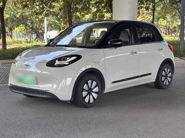 Bingo 2024 333km