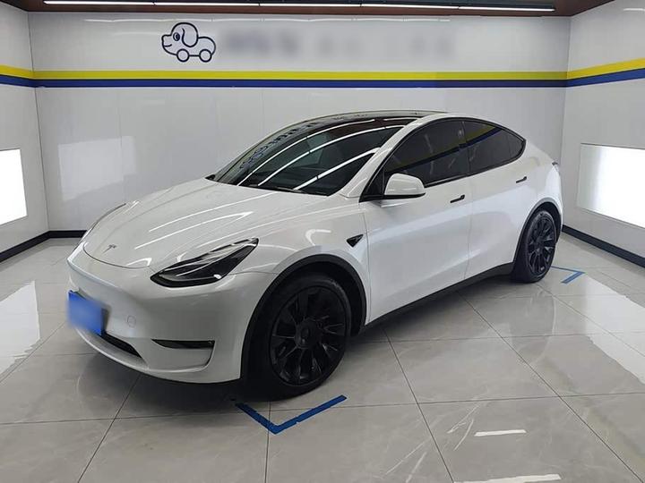 Model Y 2021 Standard Range RWD
