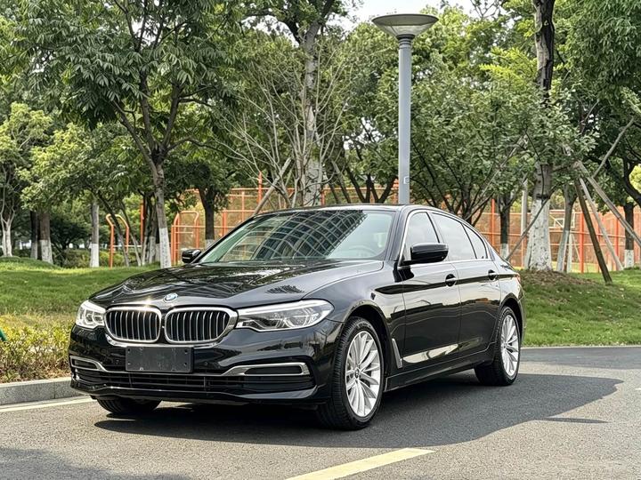 5 Series 2020 530Li Exclusive Luxury