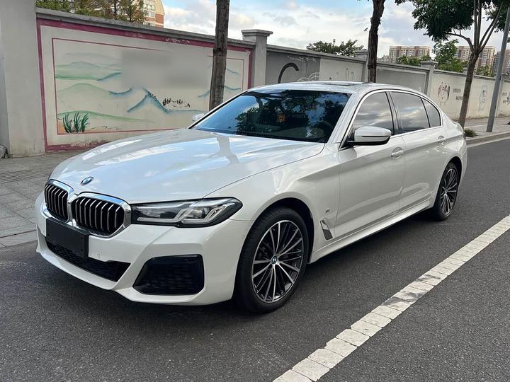 5 Series 2021 530Li Leading M Sport Package