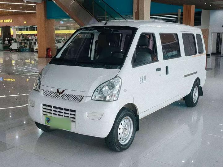 Rongguang EV 2020 Bus Base 7-Seater300KM