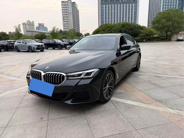 5 Series 2021 530Li Leading M Sport Package