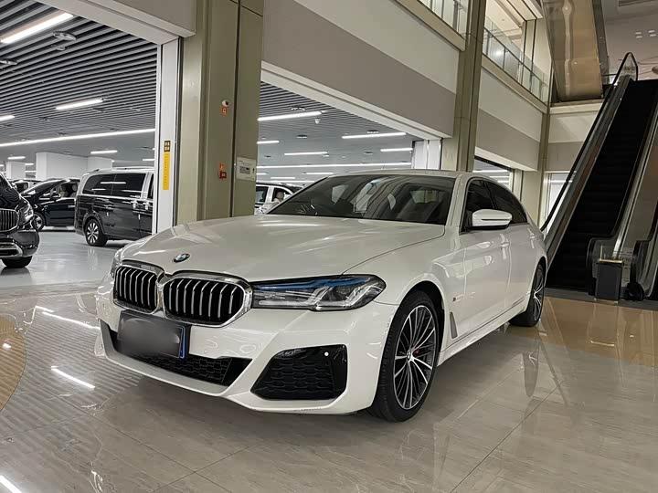 5 Series 2020 530Li Leading M Sport Package