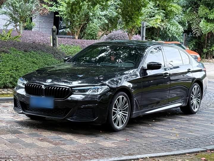 5 Series 2019 530Li Leading M Sport Package