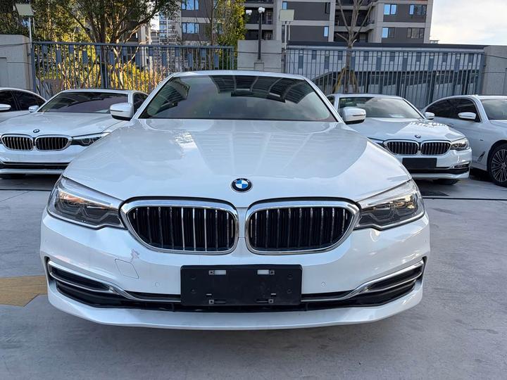 5 Series 2020 530Li xDrive Luxury