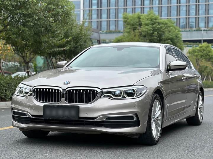 5 Series 2020 530Li Leading Luxury
