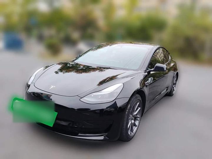Model 3 2021 Facelift Standard Range RWD Upgraded 3D1