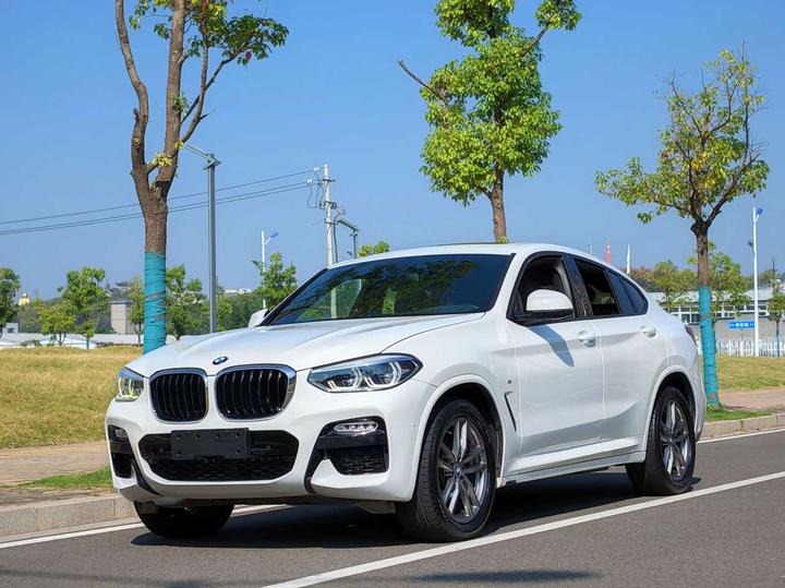 X4 2019 xDrive25i M Sport Package
