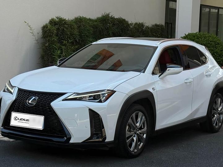 UX 2019 200 F SPORT