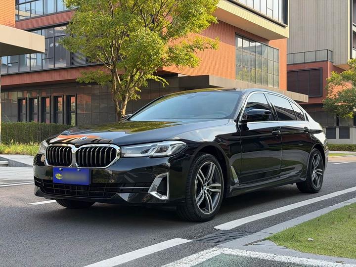 5 Series 2022 530Li Leading Luxury