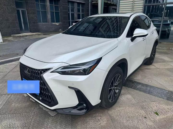 NX 2023 260 FWD Special