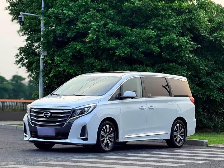 Trumpchi 传祺M8 2020款 领航款 390T 至尊版