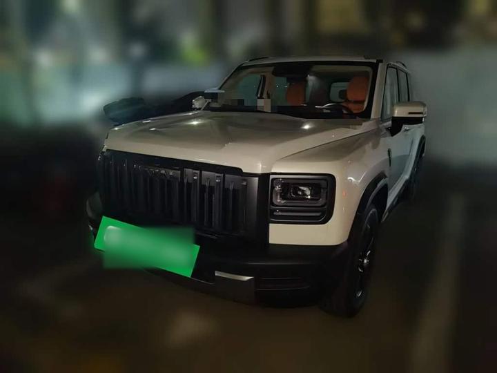 2025 2.0T 4WD Pro