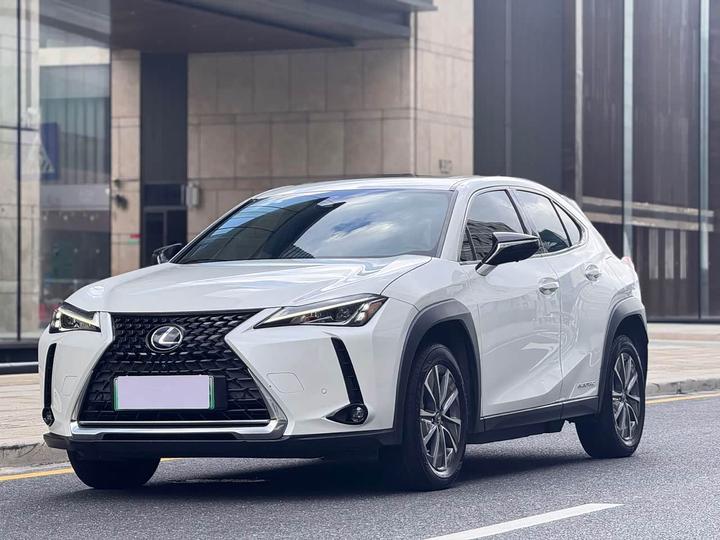 UX EV 2020 300e