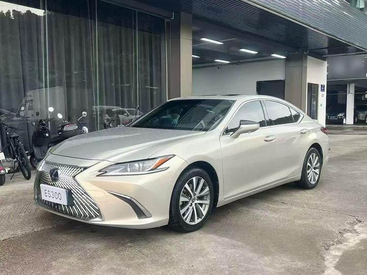 ES 2018 300h Excellence China V