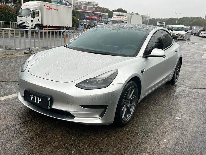 Model 3 2021 Standard Range RWD Upgraded 3D6