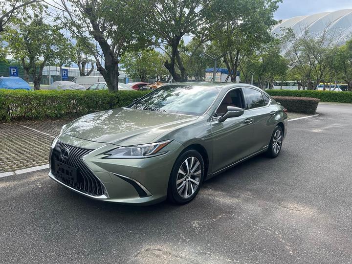 ES 2020 300h Excellence China V