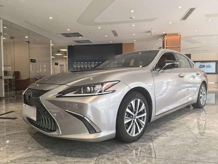 ES 2018 300h Excellence China V
