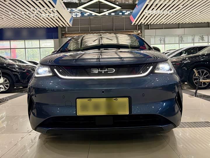 Dolphin 2025 ADAS 410km Fashion