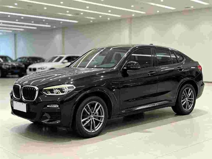 X4 2019 xDrive25i M Sport Package