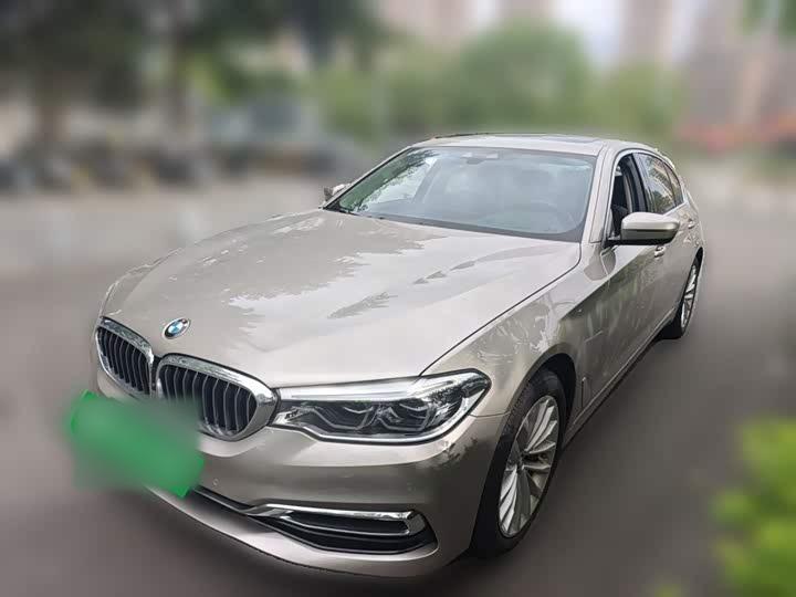 5 Series 2020 530Li Exclusive Luxury