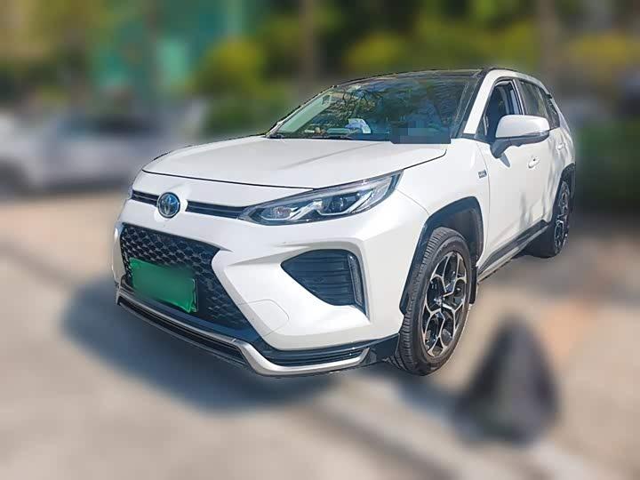 Wildlander EV 2021 Performance 2.5L AWD
