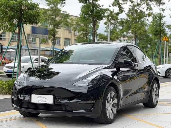 Model Y 2021 Standard Range RWD