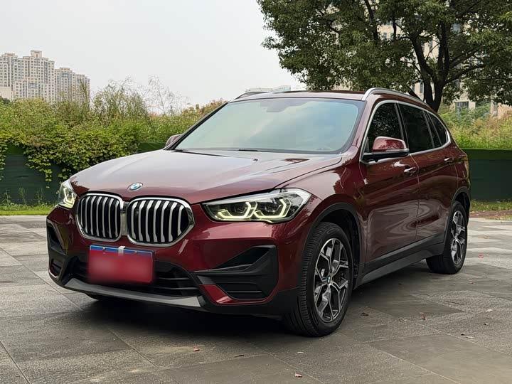 X1 2020 sDrive25Li Leading