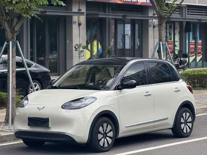Bingo 2024 333km
