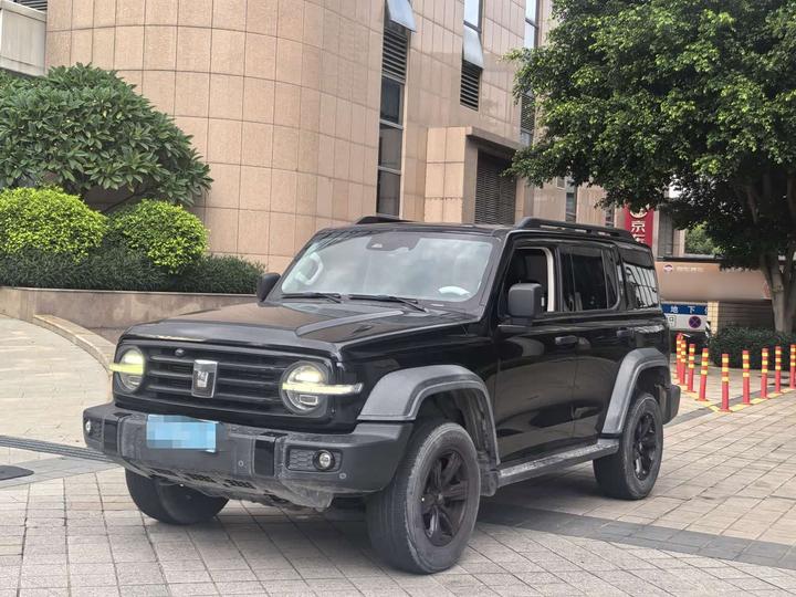 300 2021 Off-road 2.0T