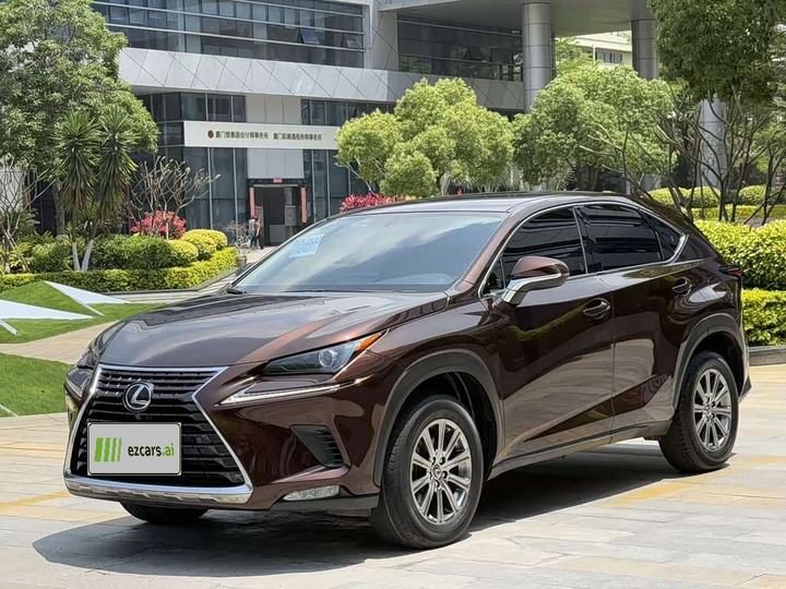 LexusNX 2018 200 FWD China V