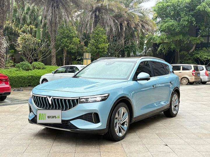 FREE 2021 AWD Standard EV Luxury