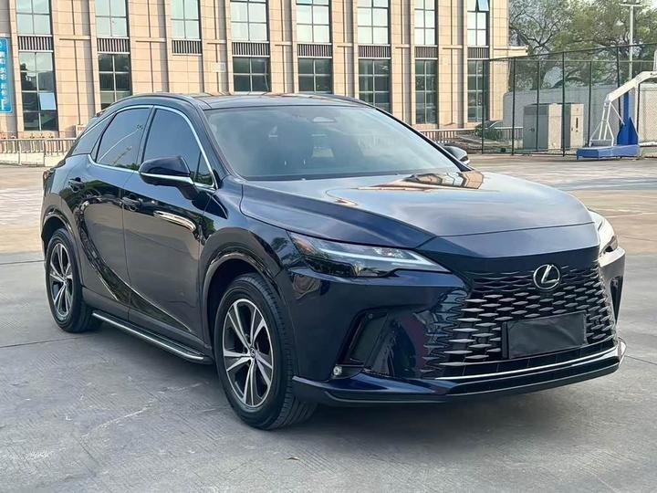 RX 2016 300 AWD F SPORT China V