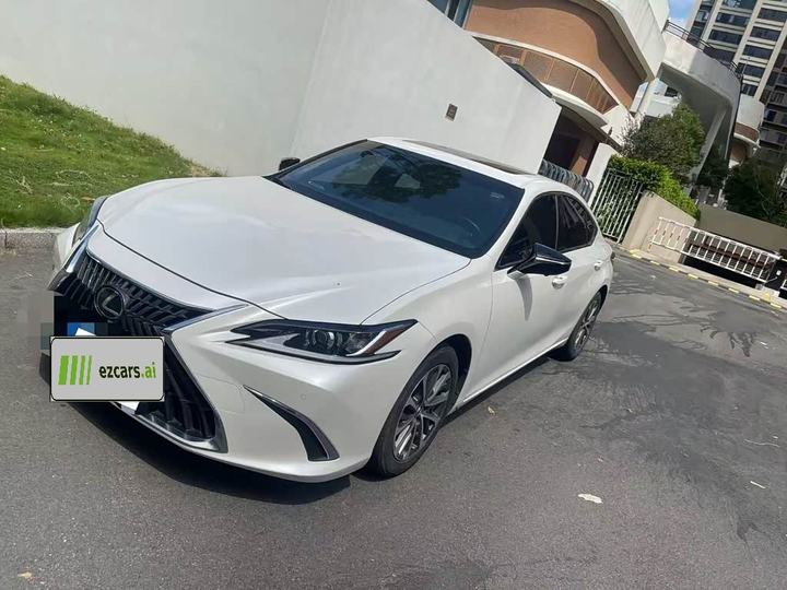 ES 2018 300h Executive China V