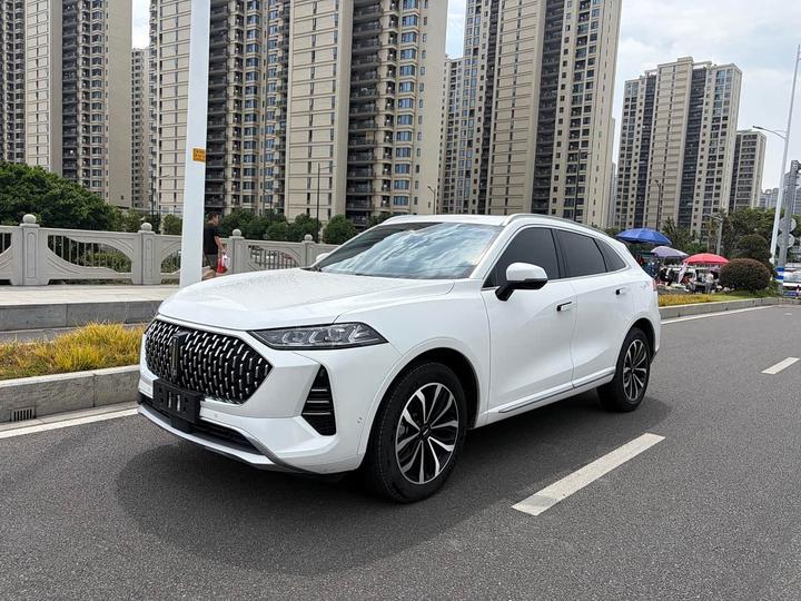 Mocha 2021 2.0T RWD