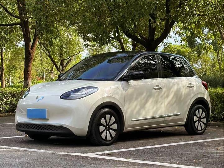Bingo 2023 333km +