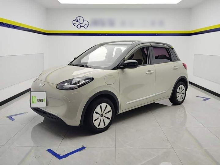 Bingo 2024 203km