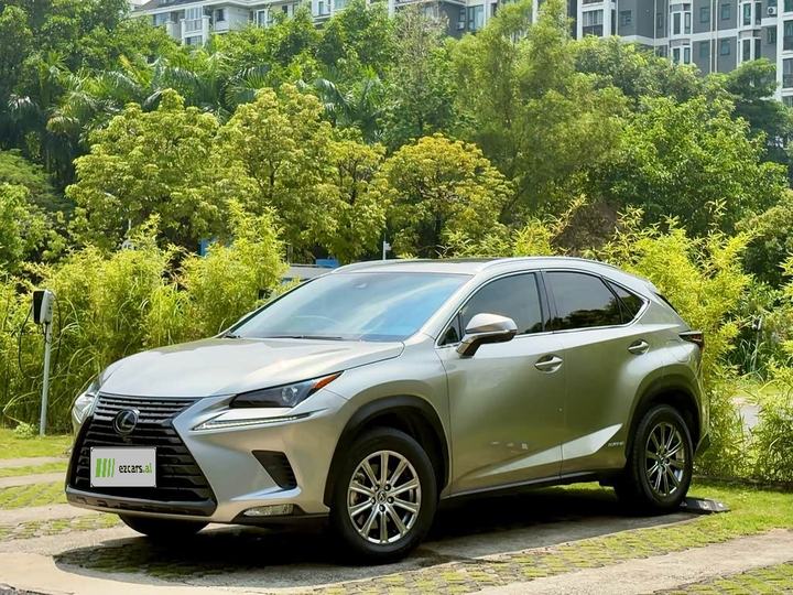 LexusNX 2020 300h FWD China VI