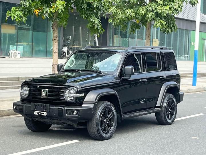 300 2021 Off-road 2.0T Conqueror