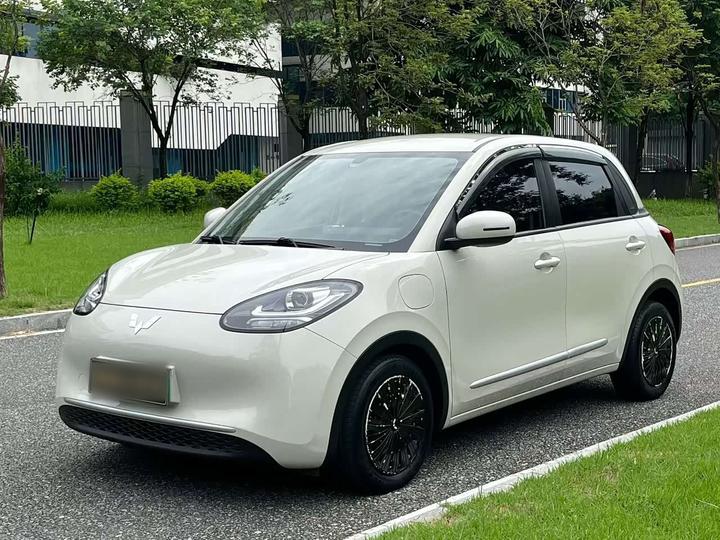 Bingo 2023 333km
